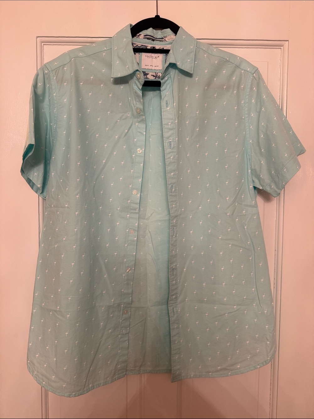 Men's Short-Sleeve Button-Down Shirt in Mint Green with Palm Motif